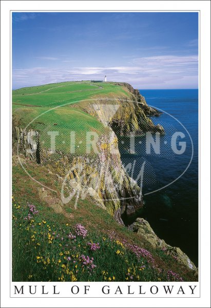 Mull of Galloway, Floral Postcard