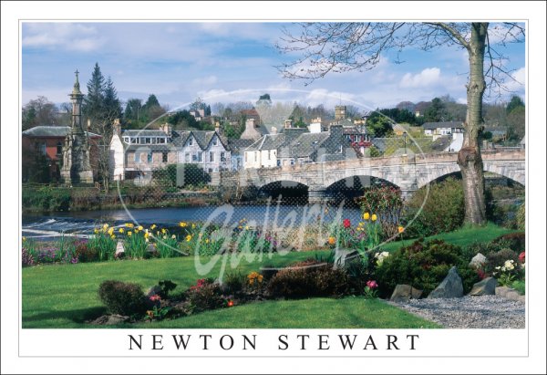 Newton Stewart, Cree Bridge Postcard