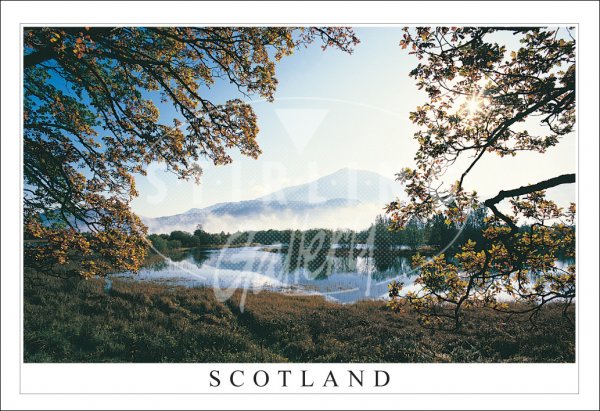 Schiehallion across River Tummel, Scotland Postcard