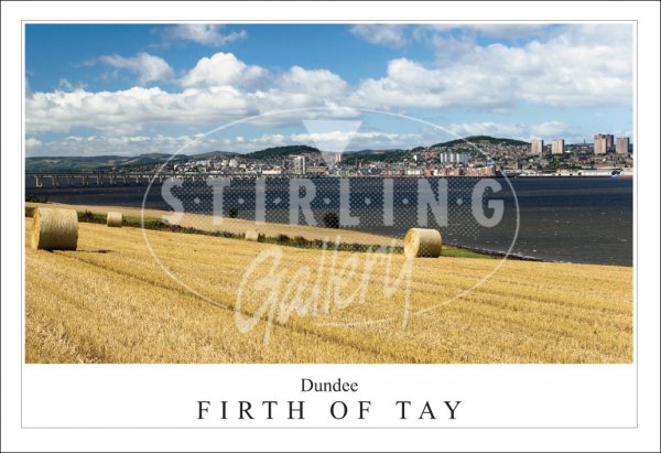 Dundee - Firth of Tay Postcard