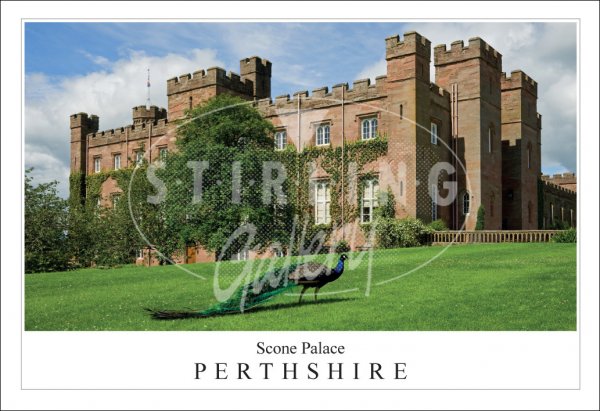 Scone Palace - Perthshire, Peacock Postcard