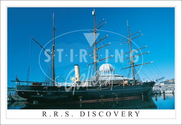 R.R.S Discovery Postcard