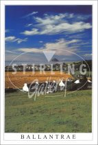 Ballantrae, Ayrshire Postcard