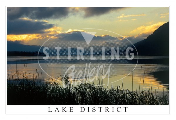 Bassenthwaite Sunrise - Lake District Postcard