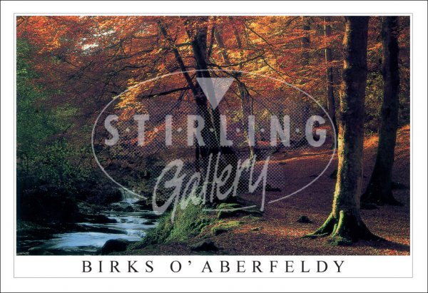 Birks O' Aberfeldy, Autumn Postcard
