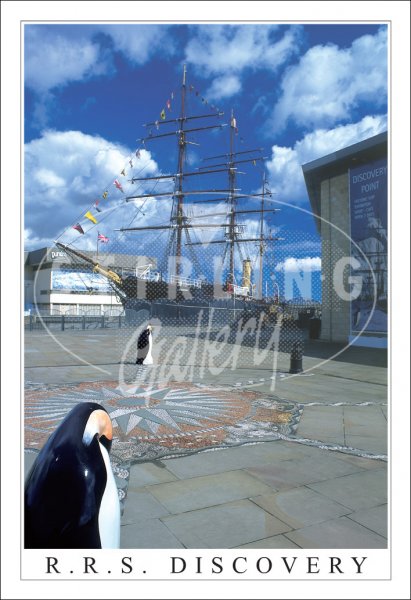 R.R.S Discovery, Quay Postcard
