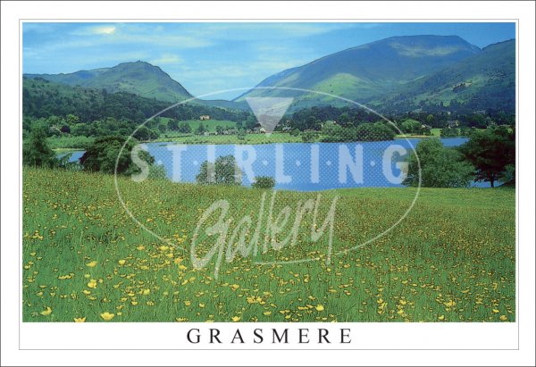 Grasmere, Springtime field Postcard (H SG)