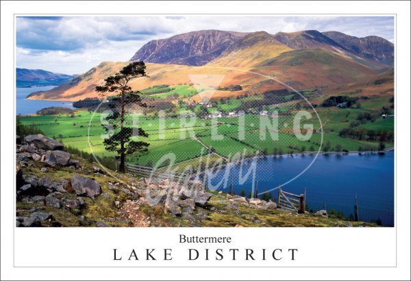 Buttermere - Lake District Postcard