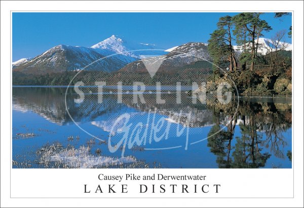 Causey Pike, Derwentwater - Lake District Postcard