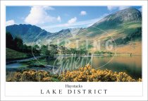 Buttermere, Haystacks - Lake District Postcard
