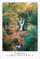 Stockghyll Force - Lake District Postcard