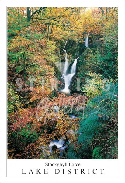 Stockghyll Force - Lake District Postcard