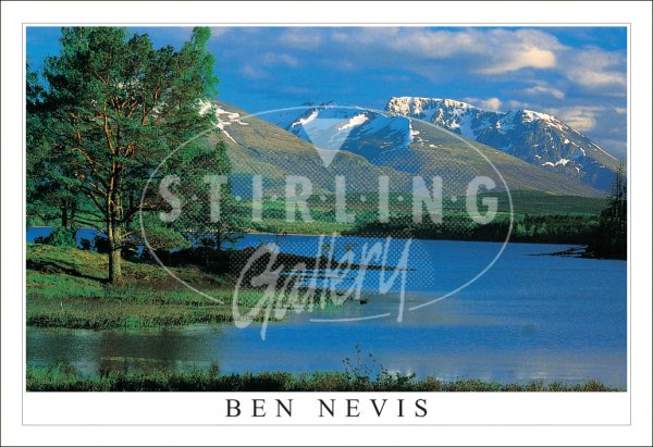 Ben Nevis from Loch Lochy Postcard