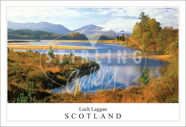 Loch Laggan - Scotland Postcard