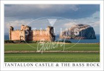 Tantallon Castle & The Bass Rock, Close up Postcard