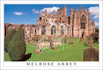 Melrose Abbey, Bushes Postcard