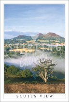Scott's View, Mist to Eildon Hills Postcard