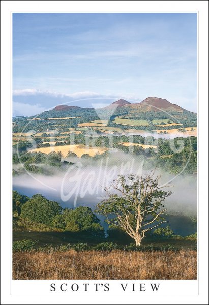 Scott's View, Mist to Eildon Hills Postcard