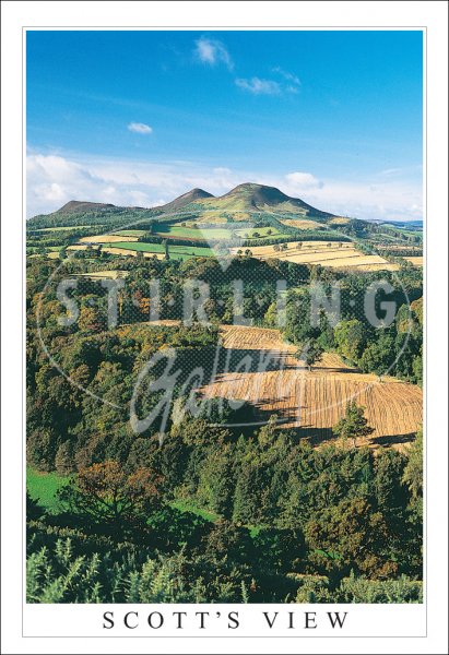 Scott's View Postcard