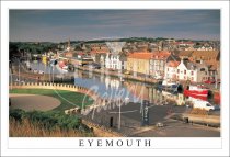 Eyemouth, The Harbour Postcard