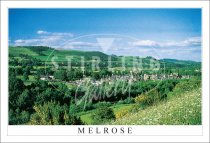 Melrose, from Hillside Postcard