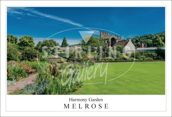 Harmony Garden - Melrose Postcard