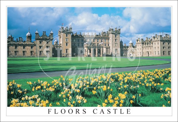 Floors Castle, Kelso, Daffodils Postcard
