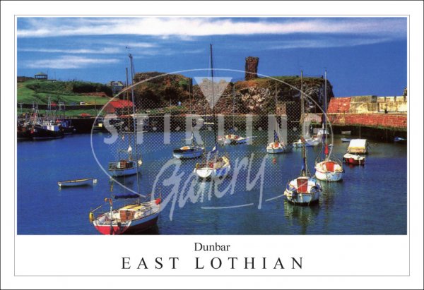 Dunbar, Castle and Harbour Postcard