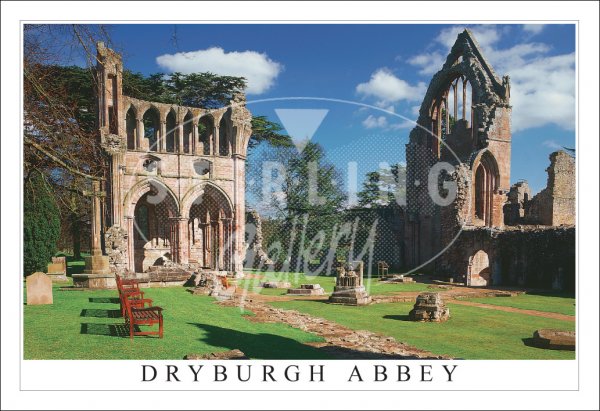 Dryburgh Abbey Postcard