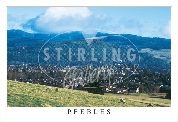 Peebles, from Manor Sware viewpoint Postcard