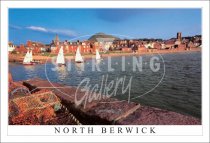 North Berwick, Sailboats by Beach & Berwick Law Postcard