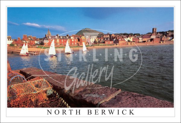 North Berwick, Sailboats by Beach & Berwick Law Postcard