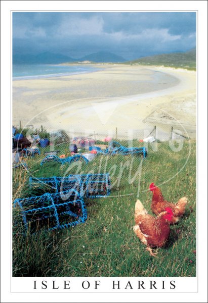 Croft at Seilebost, Isle of Harris Postcard