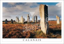 Calanais at Dawn, Standing Stones Postcard