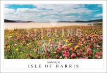 Machair Isle of Harris, Luskentyre Postcard