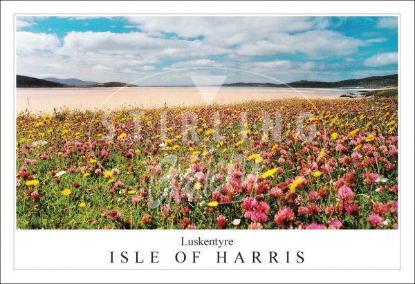 Machair Isle of Harris, Luskentyre Postcard
