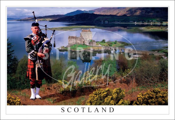Piper above Eilean Donan Castle, Scotland Postcard