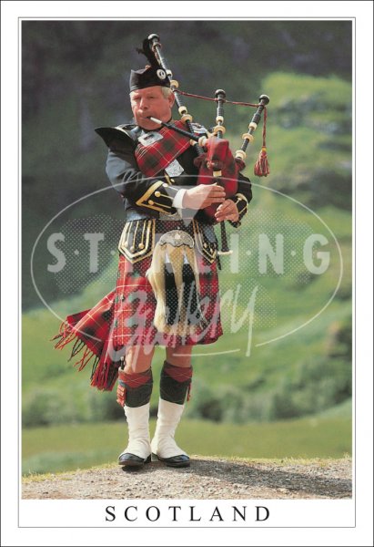 Piper, Glencoe - Scotland Postcard