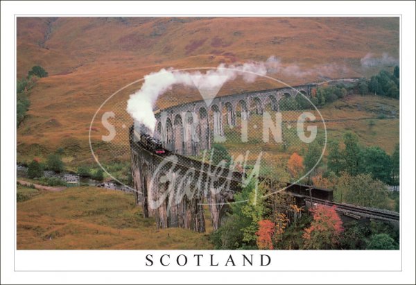 Train on Glenfinnan Viaduct, Autumn - Scotland Postcard