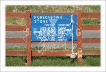 Weather Forecasting Stone Postcard