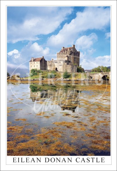Eilean Donan Castle, Seaweed reflections Postcard