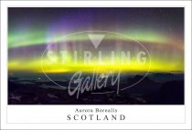 Aurora Borealis - Scotland Postcard