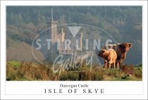 Dunvegan Castle - Isle of Skye, Hihgland Cow & Calf Postcard
