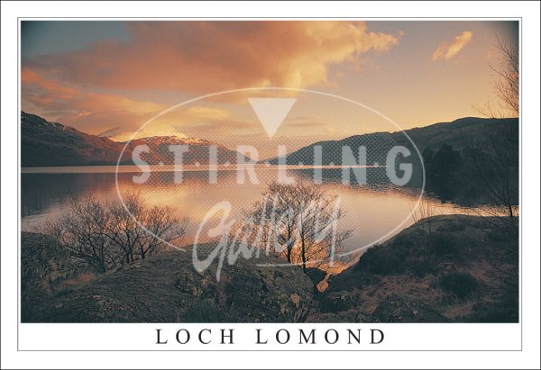 Loch Lomond, Evening Tranquillity Postcard