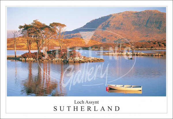 Loch Assynt - Sutherland Postcard