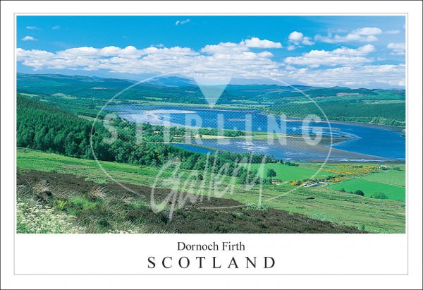 Dornoch Firth - Scotland Postcard