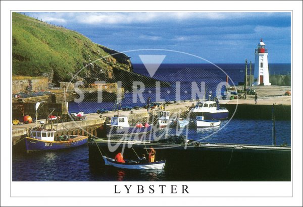 Lybster, Harbour, Caithness Postcard