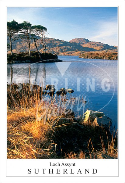 Loch Assynt - Sutherland Postcard