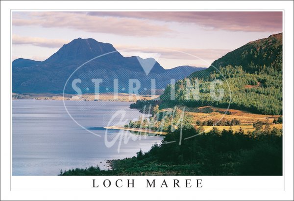 Loch Maree, Evening Light Postcard