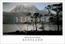 Slioch & Loch Maree - Scotland, Tree Silhouette Postcard